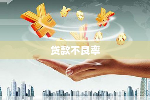 夏河贷款不良率