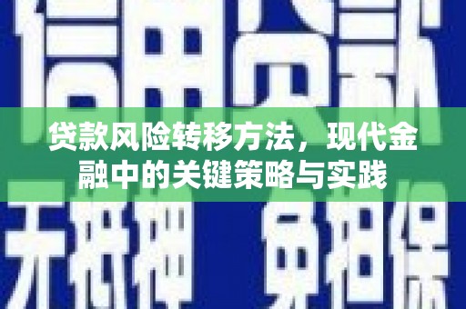 夏河贷款风险转移方法，现代金融中的关键策略与实践