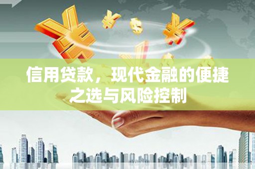 夏河信用贷款，现代金融的便捷之选与风险控制