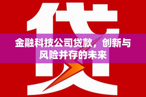夏河金融科技公司贷款，创新与风险并存的未来