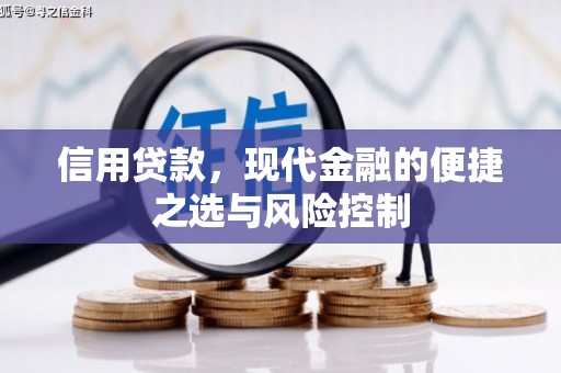 夏河信用贷款，现代金融的便捷之选与风险控制