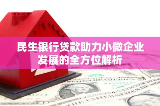 夏河民生银行贷款助力小微企业发展的全方位解析