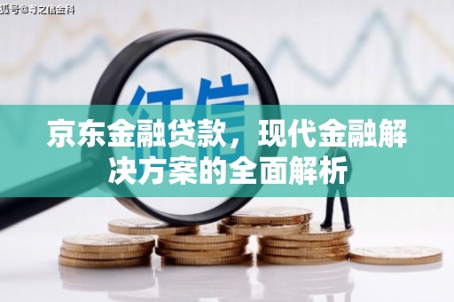 夏河京东金融贷款，现代金融解决方案的全面解析