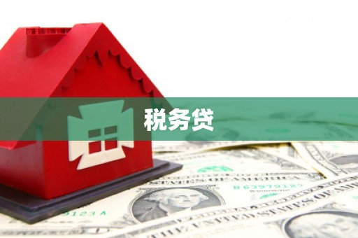 夏河税务贷