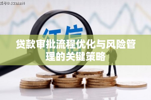 夏河贷款审批流程优化与风险管理的关键策略