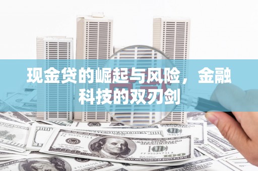 夏河现金贷的崛起与风险，金融科技的双刃剑