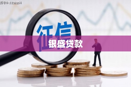 夏河银盛贷款