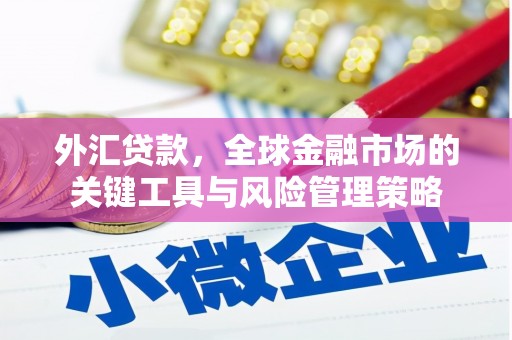 夏河外汇贷款，全球金融市场的关键工具与风险管理策略