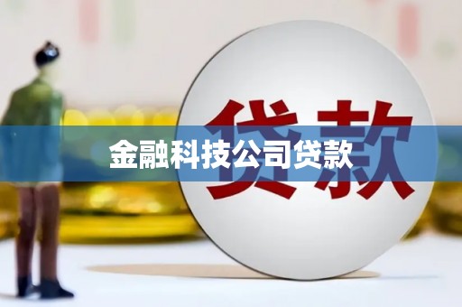 夏河金融科技公司贷款