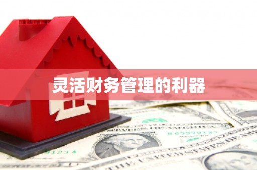 夏河灵活财务管理的利器