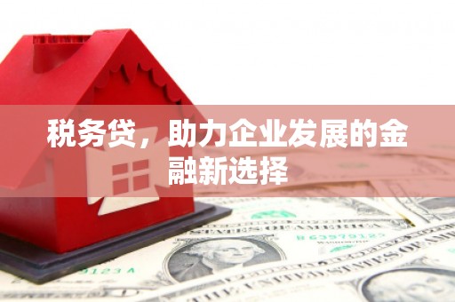 夏河税务贷，助力企业发展的金融新选择