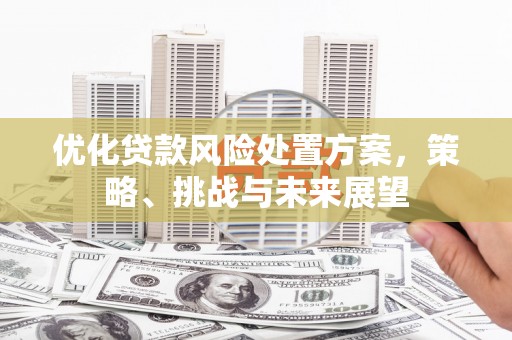 夏河优化贷款风险处置方案，策略、挑战与未来展望