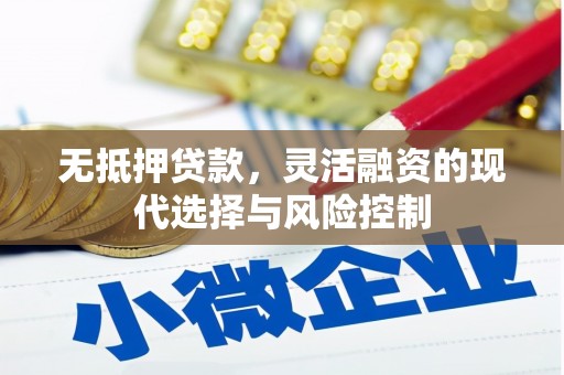 夏河无抵押贷款，灵活融资的现代选择与风险控制