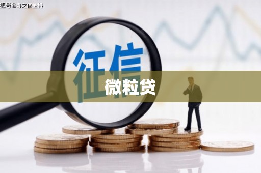 夏河微粒贷