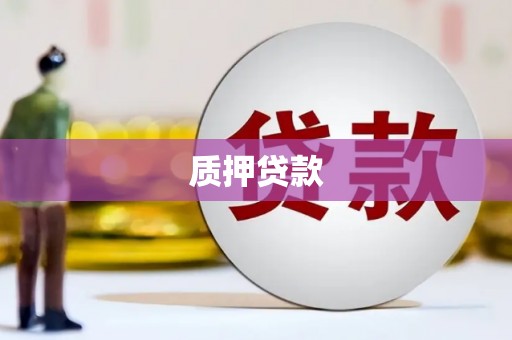 夏河质押贷款