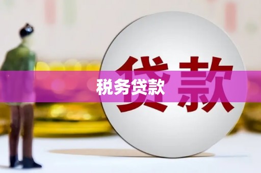 夏河税务贷款
