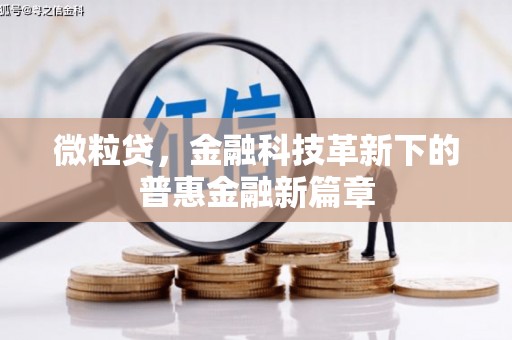 夏河微粒贷，金融科技革新下的普惠金融新篇章