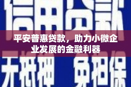 夏河平安普惠贷款，助力小微企业发展的金融利器