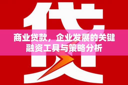 夏河商业贷款，企业发展的关键融资工具与策略分析