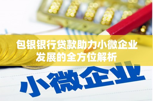 夏河包银银行贷款助力小微企业发展的全方位解析