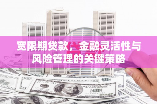 夏河宽限期贷款，金融灵活性与风险管理的关键策略