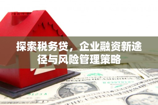 夏河探索税务贷，企业融资新途径与风险管理策略