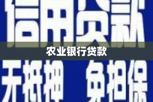 夏河农业银行贷款