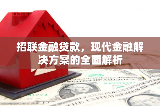 夏河招联金融贷款，现代金融解决方案的全面解析