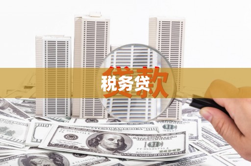 夏河税务贷