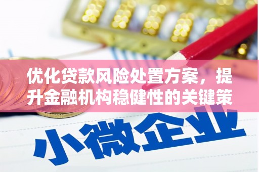 夏河优化贷款风险处置方案，提升金融机构稳健性的关键策略