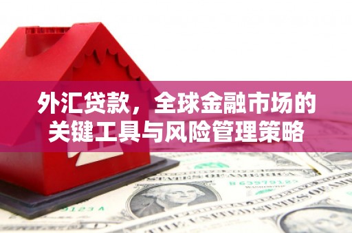 夏河外汇贷款，全球金融市场的关键工具与风险管理策略