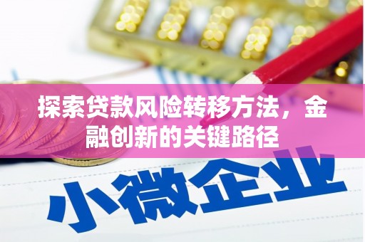 夏河探索贷款风险转移方法，金融创新的关键路径