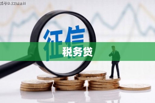 夏河税务贷