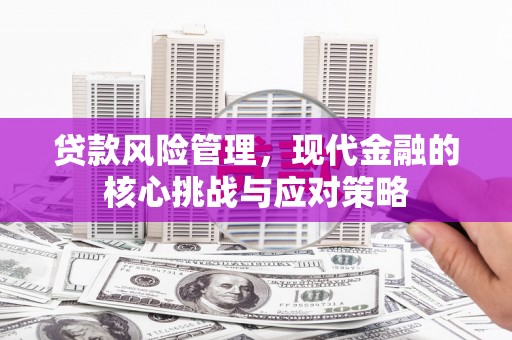 夏河贷款风险管理，现代金融的核心挑战与应对策略