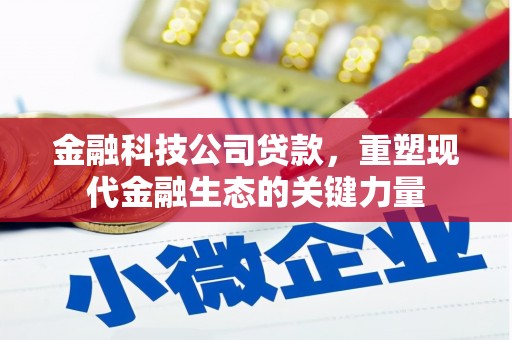 夏河金融科技公司贷款，重塑现代金融生态的关键力量