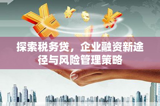 夏河探索税务贷，企业融资新途径与风险管理策略