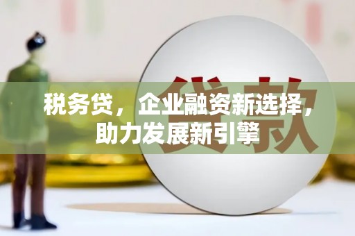 夏河税务贷，企业融资新选择，助力发展新引擎