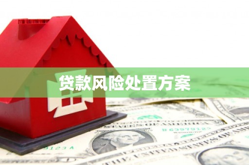 夏河贷款风险处置方案