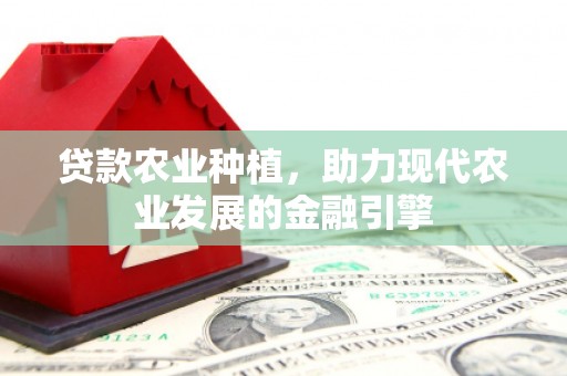 夏河贷款农业种植，助力现代农业发展的金融引擎