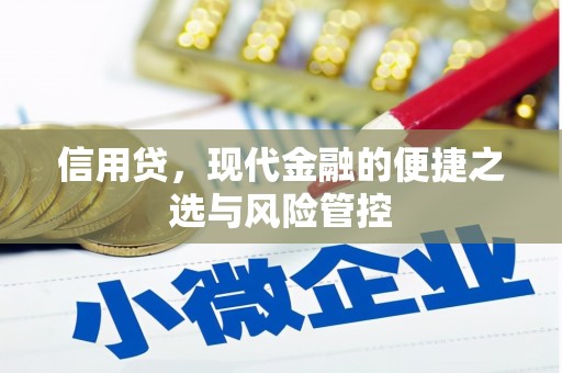 夏河信用贷，现代金融的便捷之选与风险管控