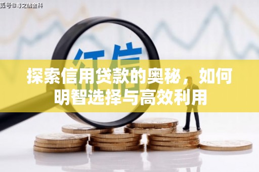 夏河探索信用贷款的奥秘，如何明智选择与高效利用