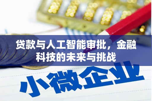 夏河贷款与人工智能审批，金融科技的未来与挑战