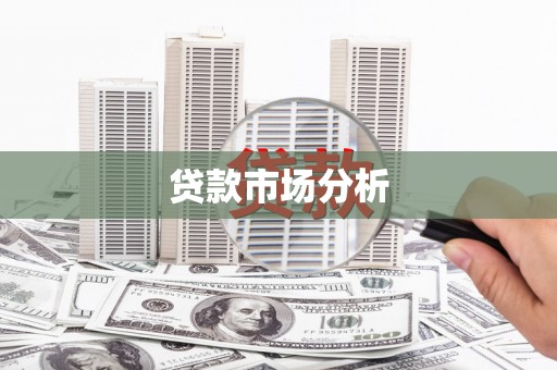 夏河贷款市场分析