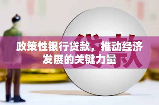 夏河政策性银行贷款，推动经济发展的关键力量