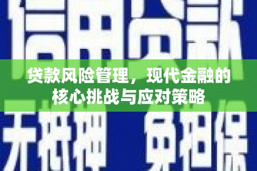 夏河贷款风险管理，现代金融的核心挑战与应对策略