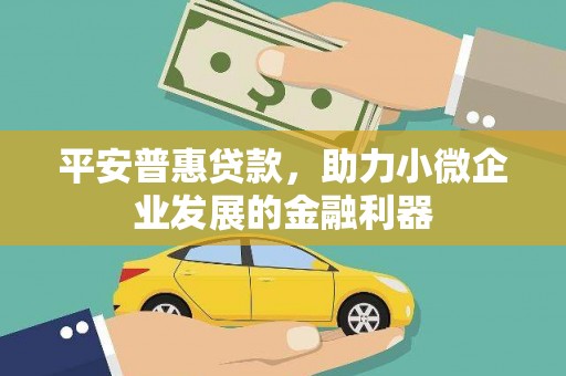 夏河平安普惠贷款，助力小微企业发展的金融利器