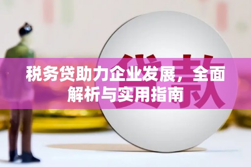 夏河税务贷助力企业发展，全面解析与实用指南