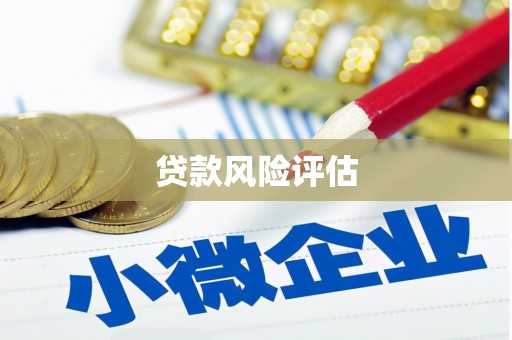 夏河贷款风险评估