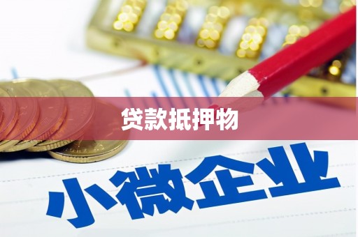 夏河贷款抵押物