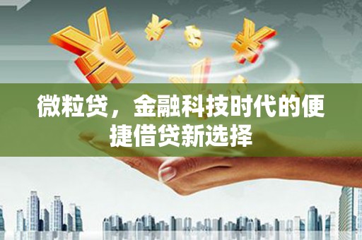 夏河微粒贷，金融科技时代的便捷借贷新选择